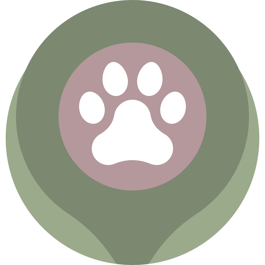 Location icon