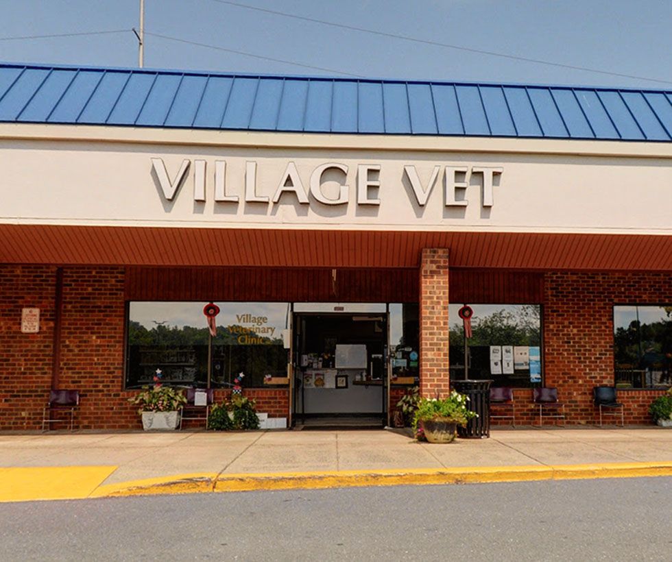 Village Veterinary Clinic in Burke, VA