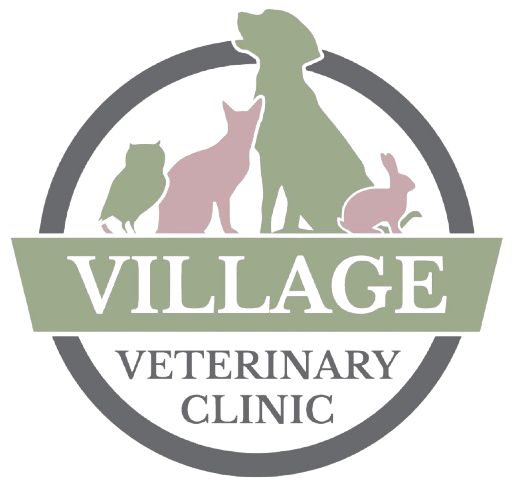 Village Veterinary Clinic